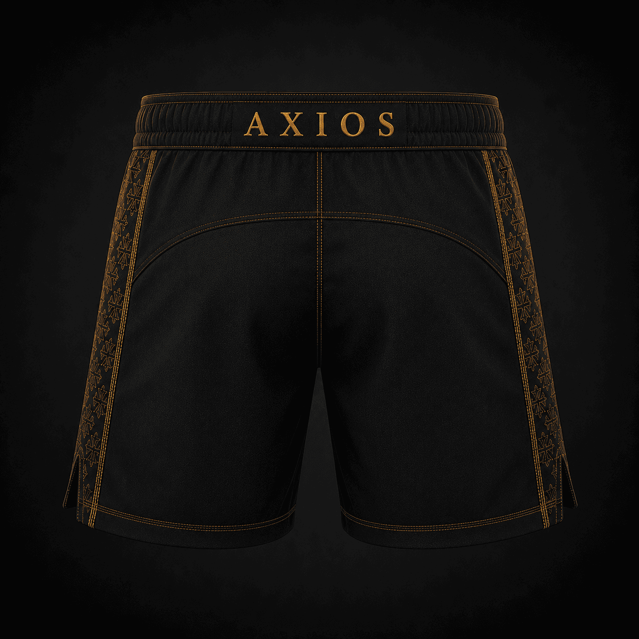 Concept rendering of the Genesis Fight Shorts back view